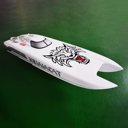 E51 Catamaran Prepainted Fiber Glass Electric Racing KIT RC Boat Hull for Advanced Player DIY Model Adult Present 1300mm*360*220mm